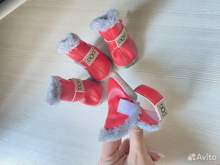 Обувь для собак мелких пород