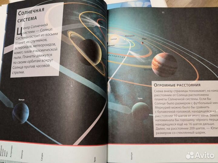 Энциклопедия для детей