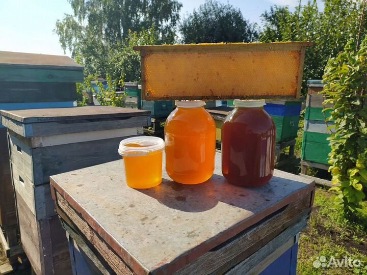 Мед со своей пасеки