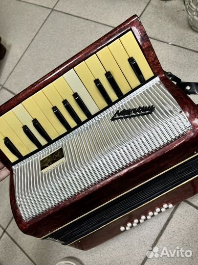 Аккордеон малыш