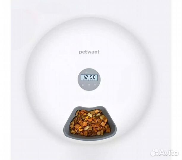 Электронная кормушка