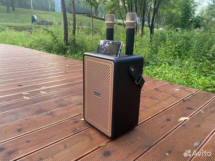 Bluetooth колонка с караоке