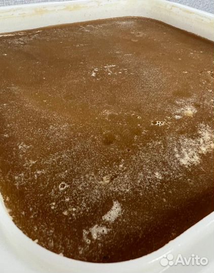 16 kg меда 2024 года натуральный оптом