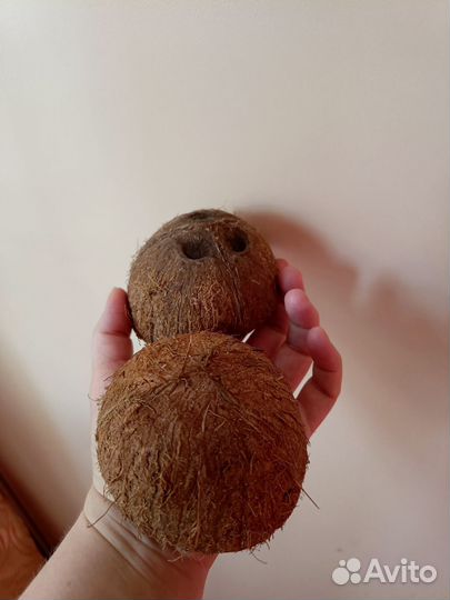 Мхи, кокосы аквариумные