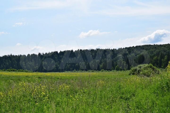 Участок 14 сот. (СНТ, ДНП)