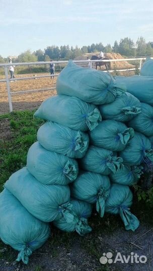 Конский навоз И перегной