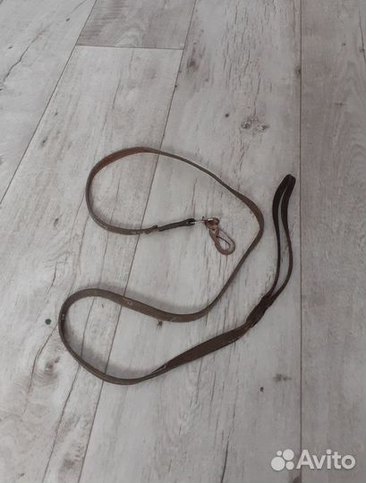 Ошейник для маленькой собаки