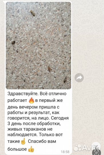 Уничтожение всех видов насекомых