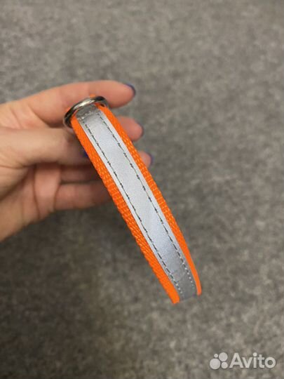 Ошейник для маленькой собаки