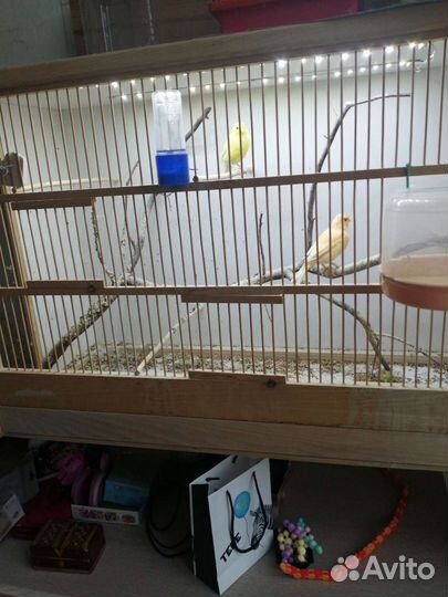 Клетка вольер для птиц