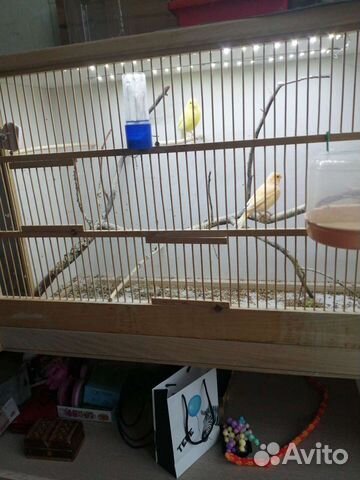 Клетка вольер для птиц