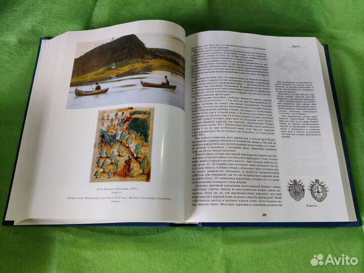 Жизнь и ловля пресноводных рыб