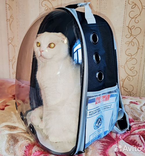 Переноска для животных