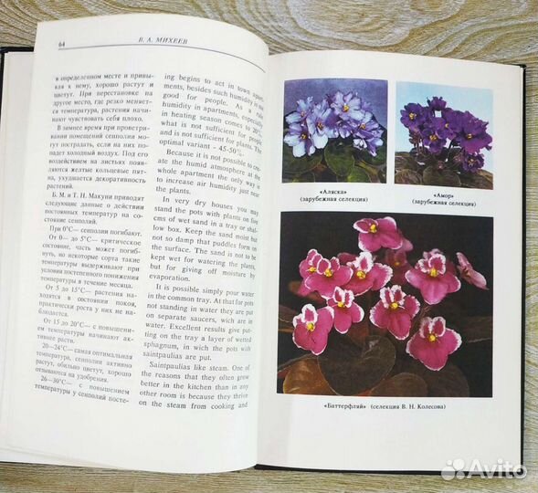 Книга,Сенполии