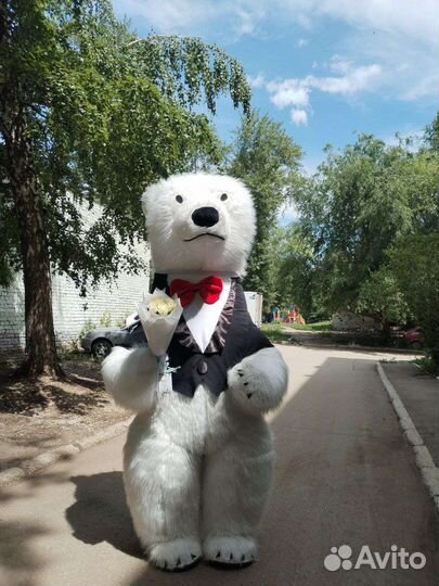 Поздравление от белого медведя по имени Тучка