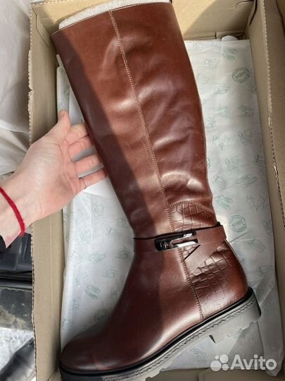 Сапоги женские натуральная кожа весна