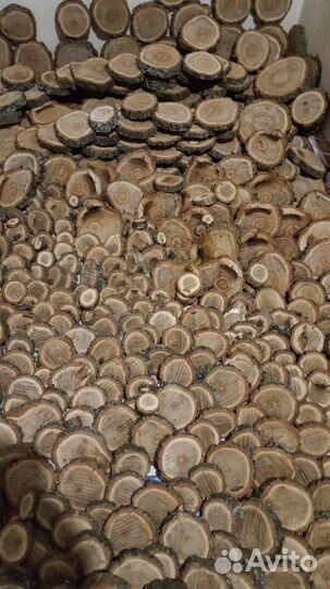 Спилы деревьев