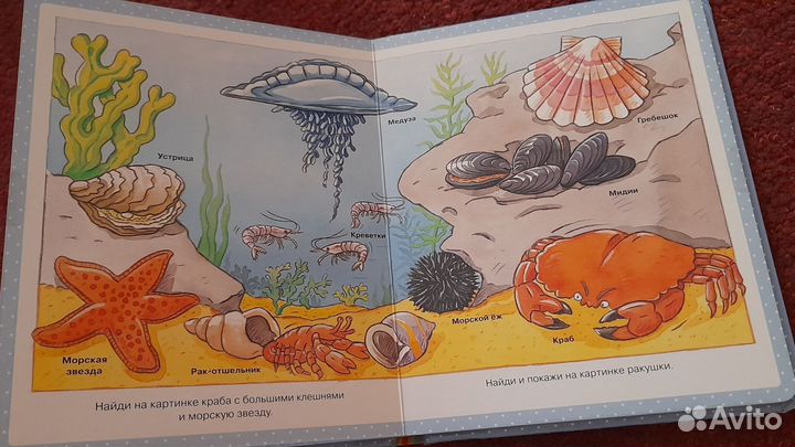 Книжка Первая энциклопедия малыша