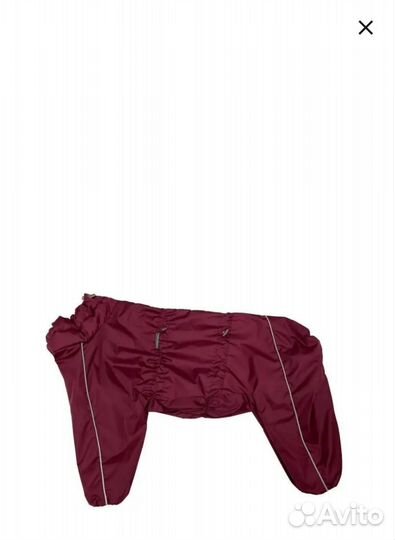 Одежда для собак