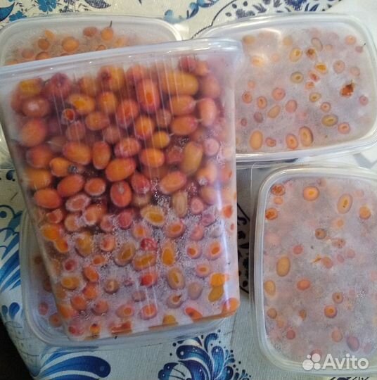 Облепиха ягоды