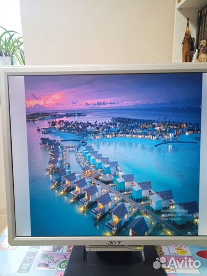 Монитор Acer AL1916 (19 дюймов )