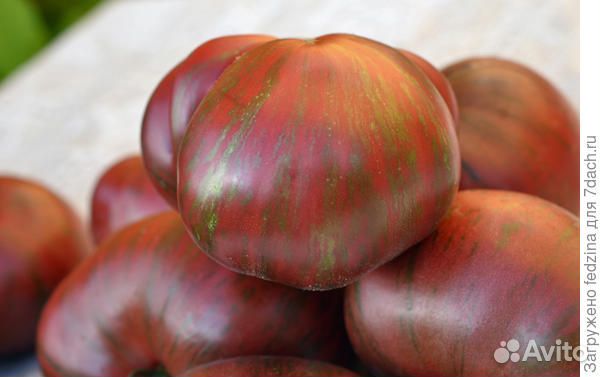 Полосатые сорта томатов (семена)