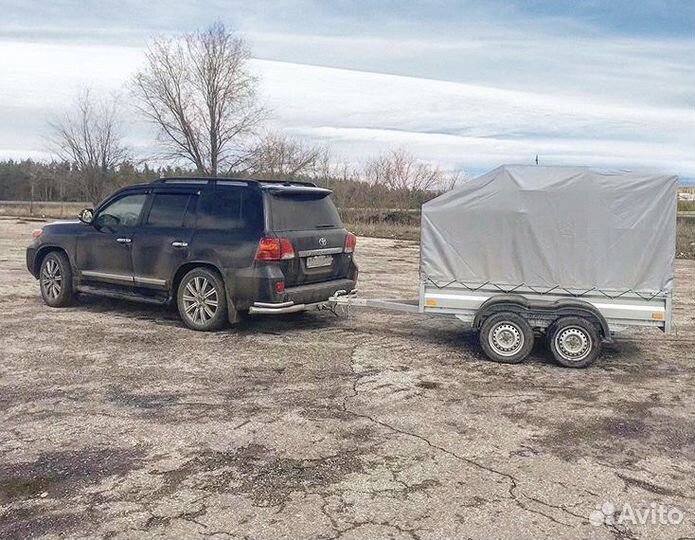 Удлиненные Спутники в полном цинке