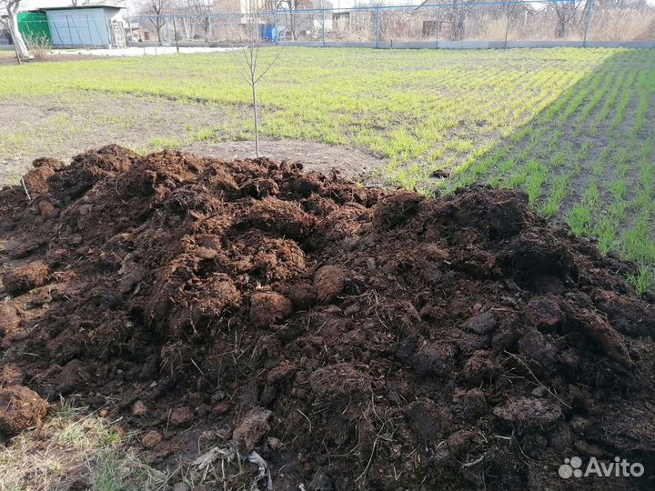 Навоз конский - коровий перегной, удобрения, для о