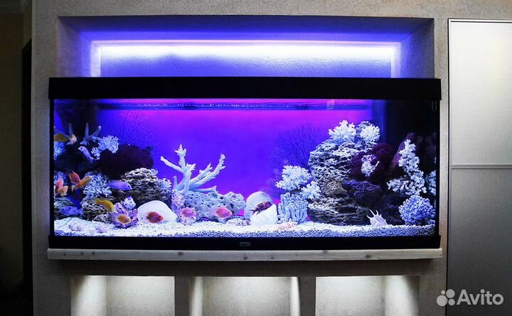 Обслуживание аквариумов и террариумов