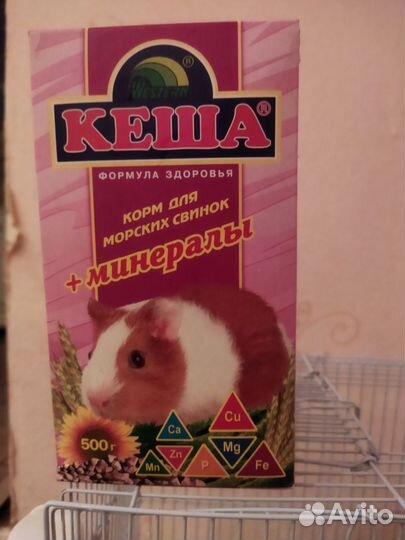 Клетка для грызунов, хомяк