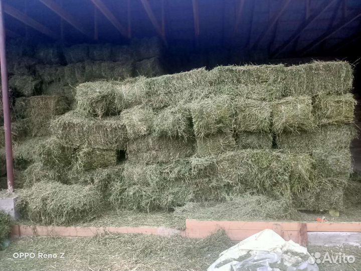 Люцерна сено