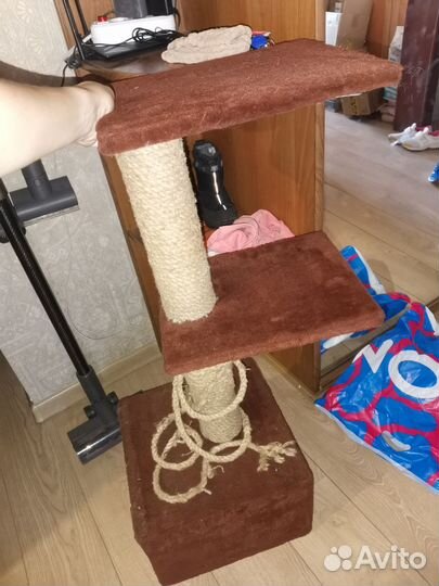 Когтеточка