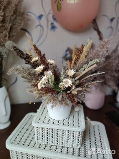 Сухоцветы в кашпо