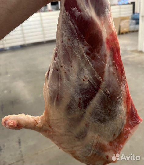 Мясо молодой баранины оптом и поштучно тушками