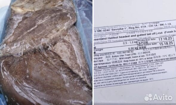 Палтус свежемороженый