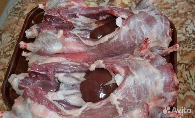 Мясо нутрии