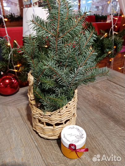 Изделие из бумажной лозы