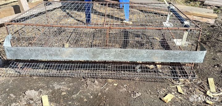 Клетки для перепелов бу