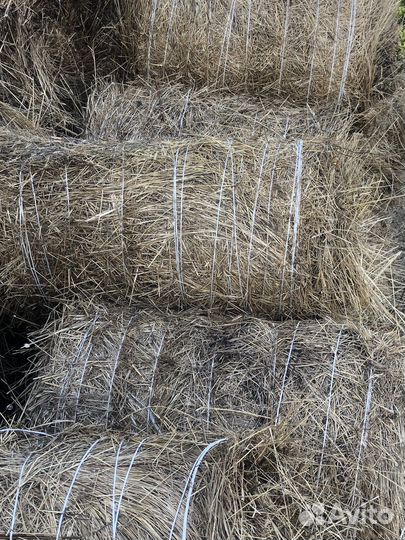 Продажа сена в рулонах разнотравие- луговое