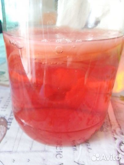 Чайный гриб (комбуча)