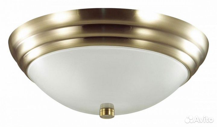 Накладной светильник Lumion Kayla 5262/2C