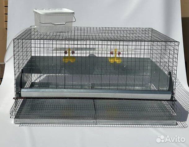 Клетка для 10 кур несушек