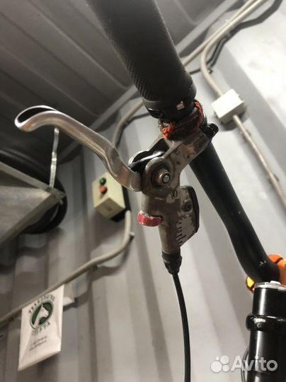 Avid code galvanized