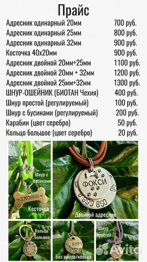 Адресники для собак и кошек