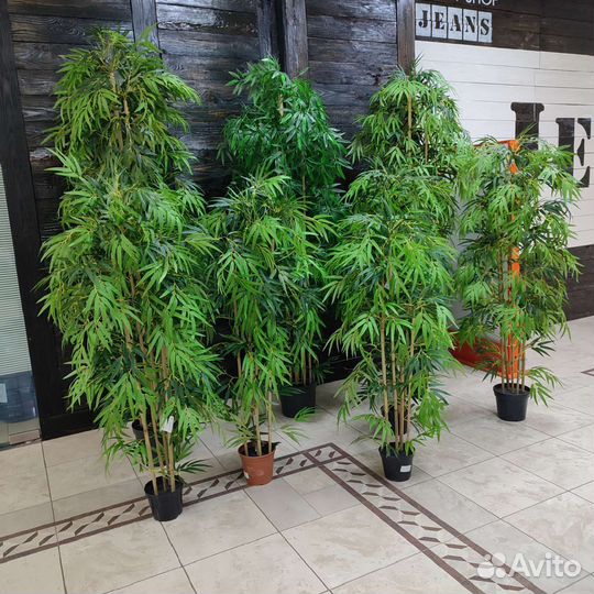 Бамбук искусственный натуральный стволе