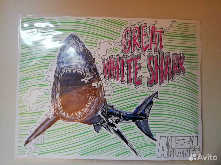 Водная раскраска