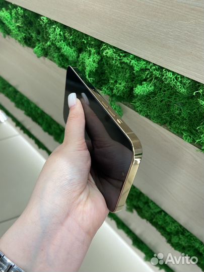 iPhone 13 Pro Max, 256 ГБ