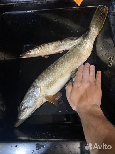 150 силиконовых приманок