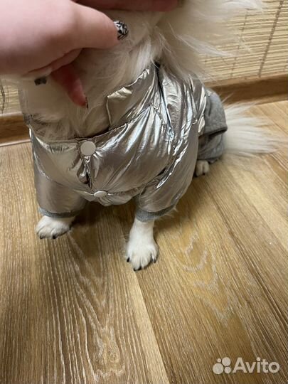 Комбинезон для собаки