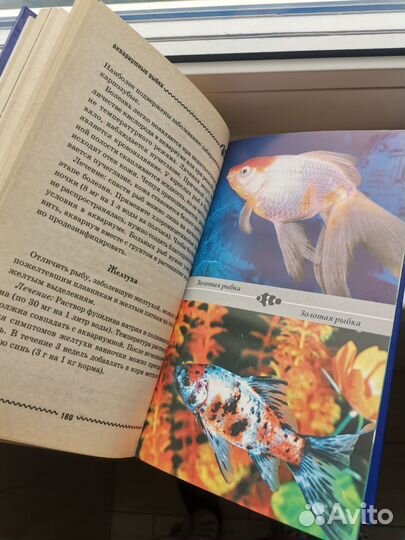 Книга аквариум